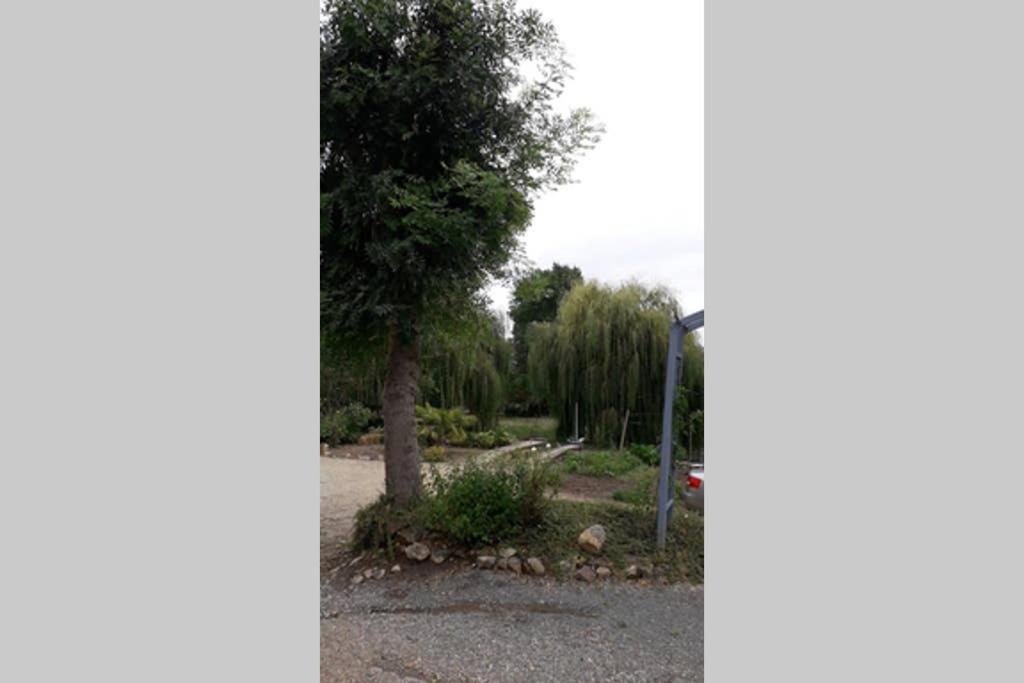 Entre Vignes Et Loire Διαμέρισμα Blaison-Saint-Sulpice Εξωτερικό φωτογραφία