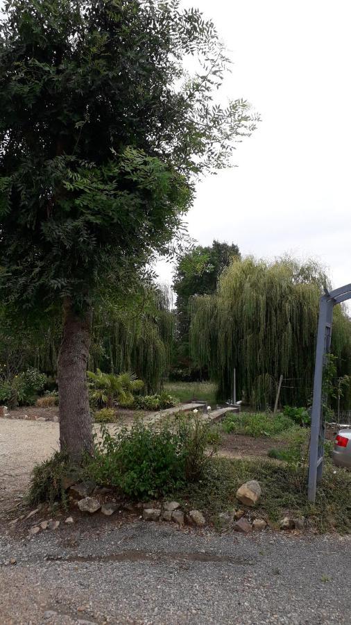 Entre Vignes Et Loire Διαμέρισμα Blaison-Saint-Sulpice Εξωτερικό φωτογραφία
